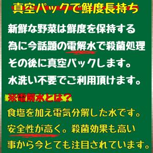 時短食材 バーベキュー野菜セット 2人前 BB...の詳細画像5