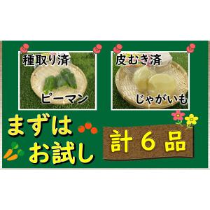 【時短食材 野菜セット6品】 食品ロス 送料無...の詳細画像4