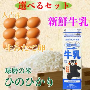 選べる【野菜とお米・乳製品・卵セット】野菜と果...の詳細画像3