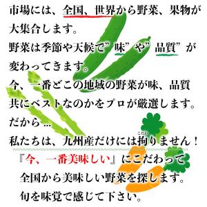 選べる【野菜とお米・乳製品・卵セット】野菜と果...の詳細画像4