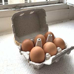 【朝採れ卵6個】熊本県 人吉市 三宅屋卵蔵の商品画像