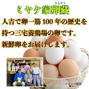 【朝採れ卵6個】熊本県 人吉市 三宅屋卵蔵の詳細画像3