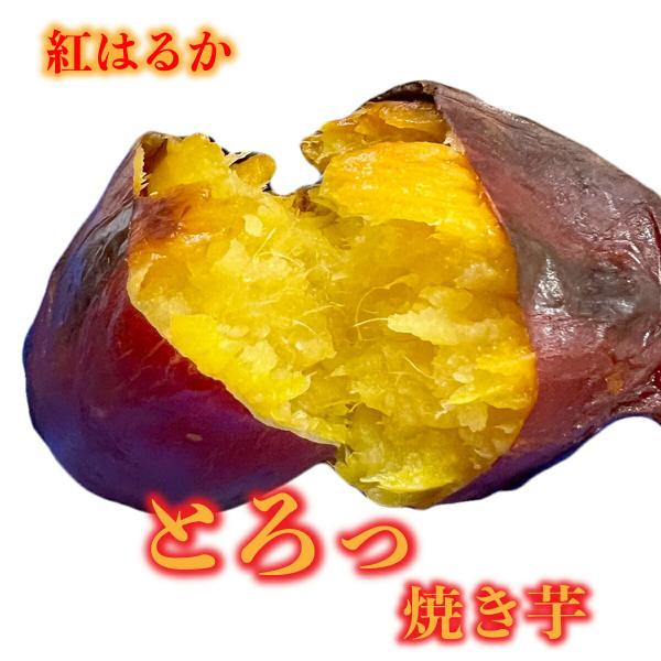 お試し 名人の芋 焼き芋【紅はるか 焼き芋 1.5ｋｇ】 熟成 熊本県大津町産 最高等級 A級品 焼...