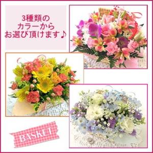 3種類の色合いから選択 バスケットアレンジ3 500円 お誕生日 出産祝い 結婚記念日 お見舞い アレンジメント A 013 フラワーハウスやまもと 通販 Yahoo ショッピング