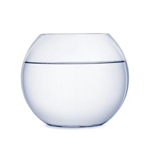 SACHI ガラス 花瓶 テラリウム 観葉植物 インテリア アクアリウム 金魚鉢 にも (１８ｃｍ)の商品画像