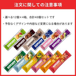 大塚製薬 ソイジョイ 選べる48本セットの詳細画像5