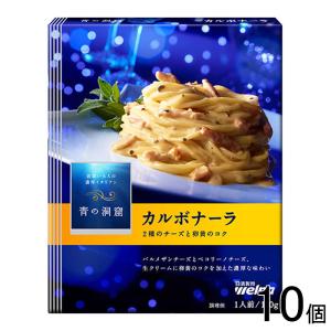 日清製粉ウェルナ 青の洞窟 カルボナーラ 140g×10個入 ／食品｜09shop