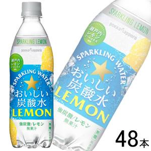 ポッカサッポロ おいしい炭酸水レモン PET 500ml×24本入×2ケース：合計48本 ／飲料｜09shop