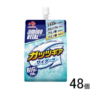 味の素 アミノバイタル ゼリードリンク ガッツギア サイダー味 パウチ 250g×24個入×2ケース：合計48個 ／飲料｜オーナインショップ ヤフー店