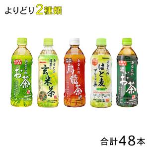 特茶 サントリー 伊右衛門 NEWSパック PET 500ml×24本 〔20本＋お試し