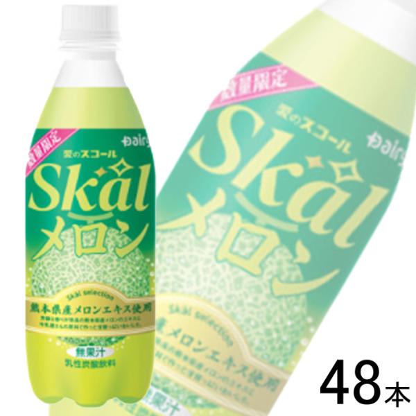 デーリィ 南日本酪農協同 スコールメロン PET 500ml×24本入×2ケース：合計48本 ／飲料