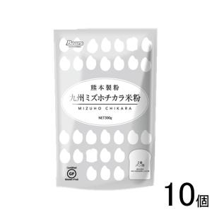 熊本製粉 九州ミズホチカラ米粉 300g×10袋入 ／食品｜09shop