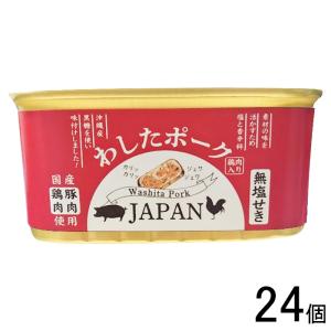 沖縄県物産公社 わしたポーク JAPAN 200g×12個入×2ケース：合計24個 ジャパン ランチョンミート