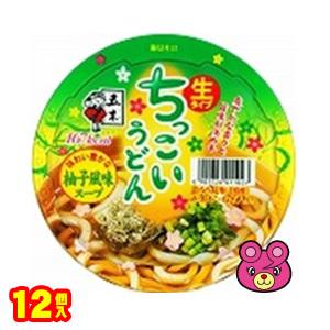 五木食品 ちっこいうどん柚子風味 109g×12個 : オーナインショップ