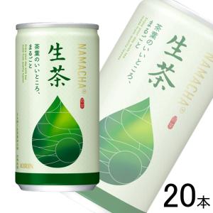 SUNTORY（サントリー） マウンテンデュー 350ml 缶 24本入 炭酸飲料 缶