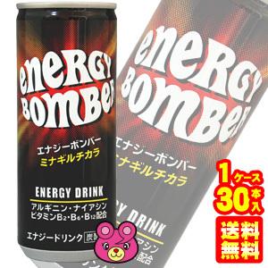 宝積飲料 エナジーボンバー 缶 250ml×30本入 ／飲料