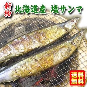 北海道産 塩サンマ 2尾 5パック さんま 要冷凍 クール便 食品 林商店 I100 オーナインショップ ヤフー店 通販 Yahoo ショッピング