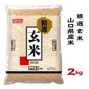 山口県産米／農協直販／ 精選玄米 2kg