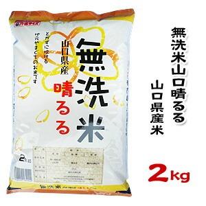 山口県産米／農協直販／ 無洗米 山口晴るる 2kg