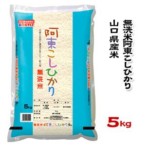 山口県産米／農協直販／ 無洗米 阿東 こしひかり 5kg