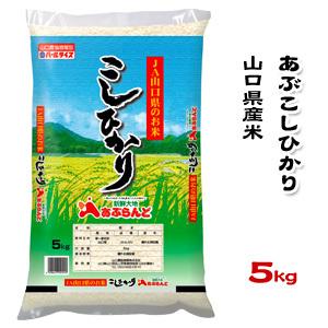 山口県産米 ／ あぶ こしひかり 5kg ／お米：農協直販｜09shop