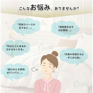 真空 圧縮袋 衣類 ふとん圧縮袋 ポンプ不要立...の詳細画像1