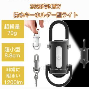 LEDキーチェーンライト キーホルダー型ライト...の詳細画像1