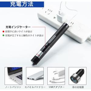 緑色の懐中電灯 緑色のポインター 赤色の懐中電...の詳細画像2