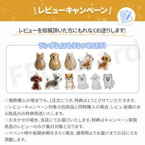 1点最安775円・2点購入で 犬毛メモリアルカ...の詳細画像5