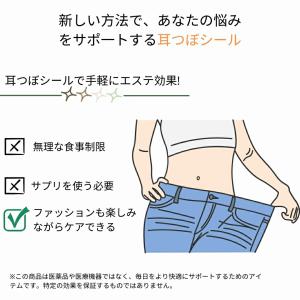 耳つぼシール 粒タイプ 金属アレルギー対応 ス...の詳細画像1