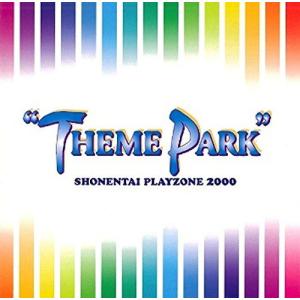PLAYZONE 2000“THEME PARKの商品画像