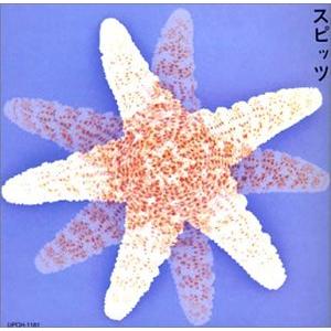 スピッツ - 最安値・価格比較 - Yahoo!ショッピング