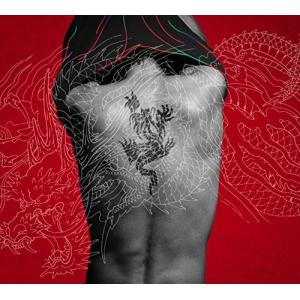 羽 【龍が如く盤】CD+DVD+Blu-ray 稲葉浩志 羽 【龍が如く盤】 CD+DVD+Blu-ray - 最安値・価格比較 - Yahoo