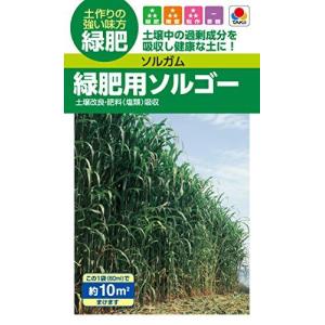 タキイ種苗 (Takii Shubyo) 緑肥 ソルガム 緑肥用ソルゴー BSG558EBFの商品画像