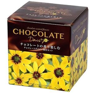 聖新陶芸 栽培セット チョコレートディジー GD-845の商品画像