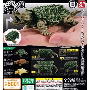 かめ03 全3種セット ガチャガチャ - 最安値・価格比較 - Yahoo 