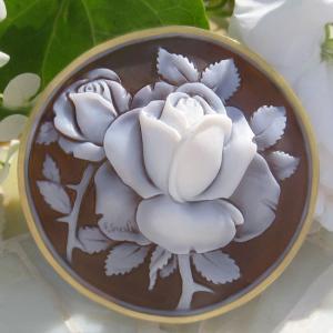 CAMEO（カメオ） 希少な薔薇の正面モチーフ Luciano Giannini作 シェル