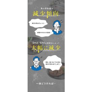 ニッスイ 魚不足 機能性食品 EPA 甘い ヘ...の詳細画像4