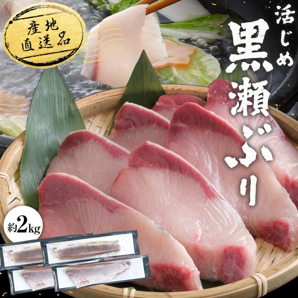 活〆黒瀬ぶり ロイン スキンレス 4本入り 2kg前後 刺身 ブリ お歳暮 海鮮 魚 鮮魚 ぶり 鰤...