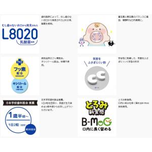 チュチュベビー ヨーグルト風味 60粒入 × ...の詳細画像4