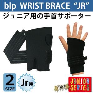 キッズジュニア用 スノーボード スキー リストガード