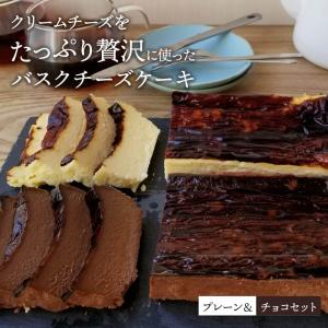 バスクチーズケーキ 2種セット (プレーン＆チョコ) （約393g×各1個）工場直送 冷凍チーズケーキ 濃厚バスチー（冷凍便）