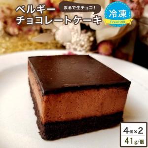 ベルギーチョコレートケーキ(8個(約41g×4個)×2ケース))冷凍チョコケーキ(冷凍便)(送料無料)