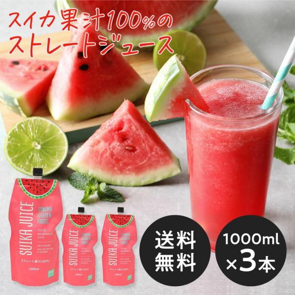 スイカジュース ストレート果汁100%(1000ml×3本)(メーカー直送・正規品)SUIKA JU...