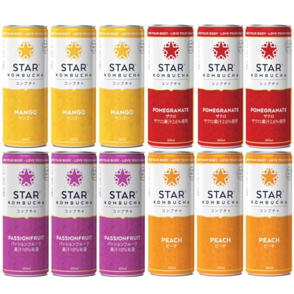 送料無料 スターコンブチャ 4種類（マンゴー、パッションフルーツ、ピーチ、ザクロ）(発酵飲料)[25...