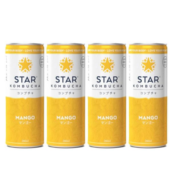 送料無料 スターコンブチャ マンゴー(発酵飲料)[250ml×4本]STAR KOMBUCHA MA...