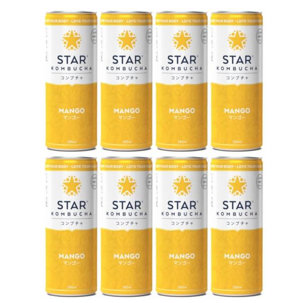 送料無料 スターコンブチャ マンゴー(発酵飲料)[250ml×8本]STAR KOMBUCHA MA...