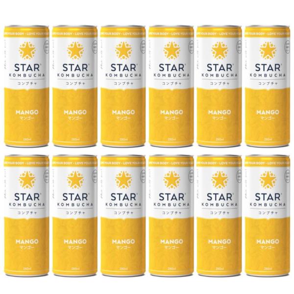 送料無料 スターコンブチャ マンゴー(発酵飲料)[250ml×12本]STAR KOMBUCHA M...