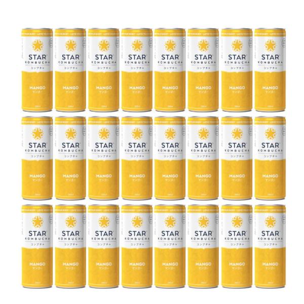 送料無料 スターコンブチャ マンゴー(発酵飲料)[250ml×24本]STAR KOMBUCHA M...