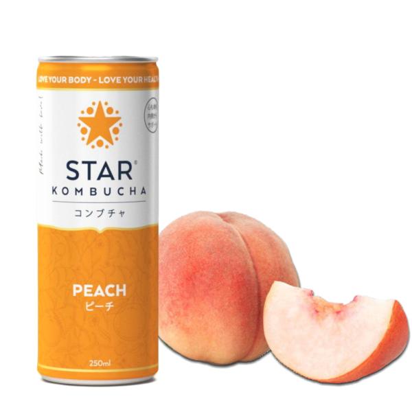送料無料 スターコンブチャ ピーチ(発酵飲料)[250ml×1本]STAR KOMBUCHA PEA...